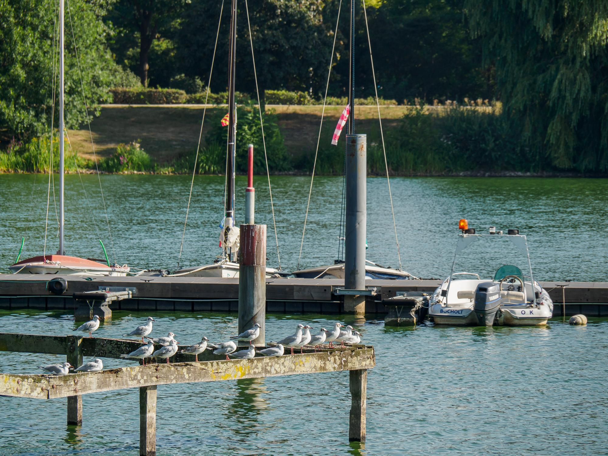 Riverfront Dock With PWC Lifts